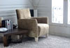 Lounge Chair10 Lounge Chair10
